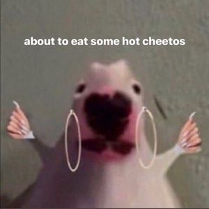 Meet your Posher, Logan